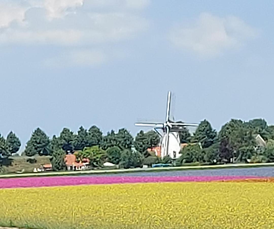 德纽尔斯道住宿加早餐旅馆 Scherpenisse 外观 照片