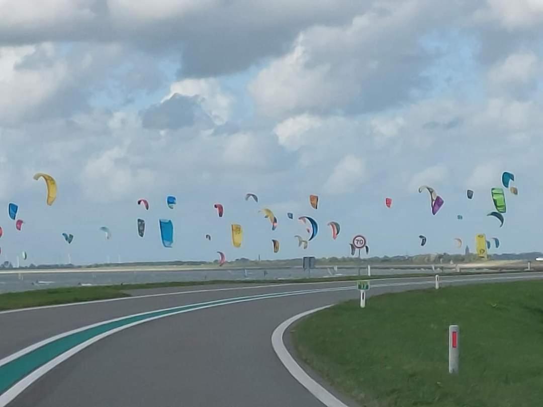 德纽尔斯道住宿加早餐旅馆 Scherpenisse 外观 照片