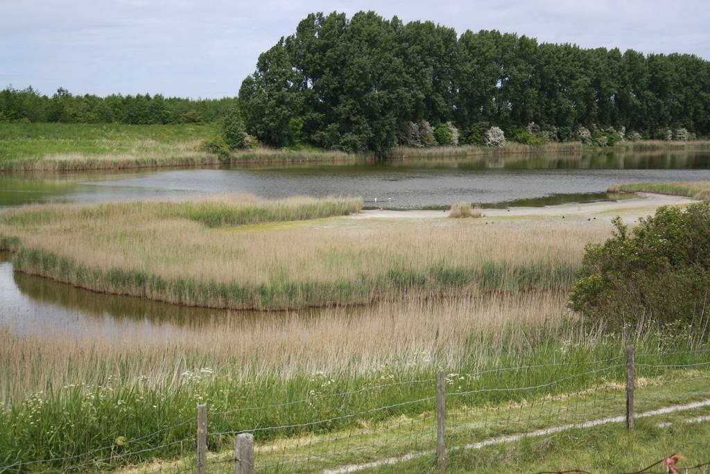 德纽尔斯道住宿加早餐旅馆 Scherpenisse 外观 照片